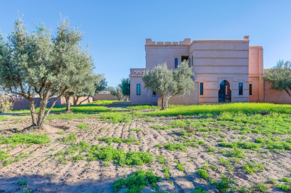 فندق 4 نجوم 68 مفتاحا / زاوية بن ساسي/ مراكش