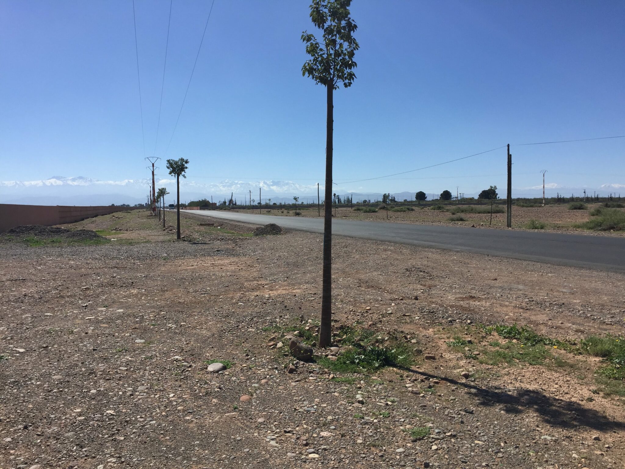 Lots de Terrain pour villas à partir de 2.776.800 DH / Akenza / Marrakech