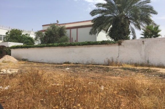 ارض لا ينبغي تفويتها / فاس