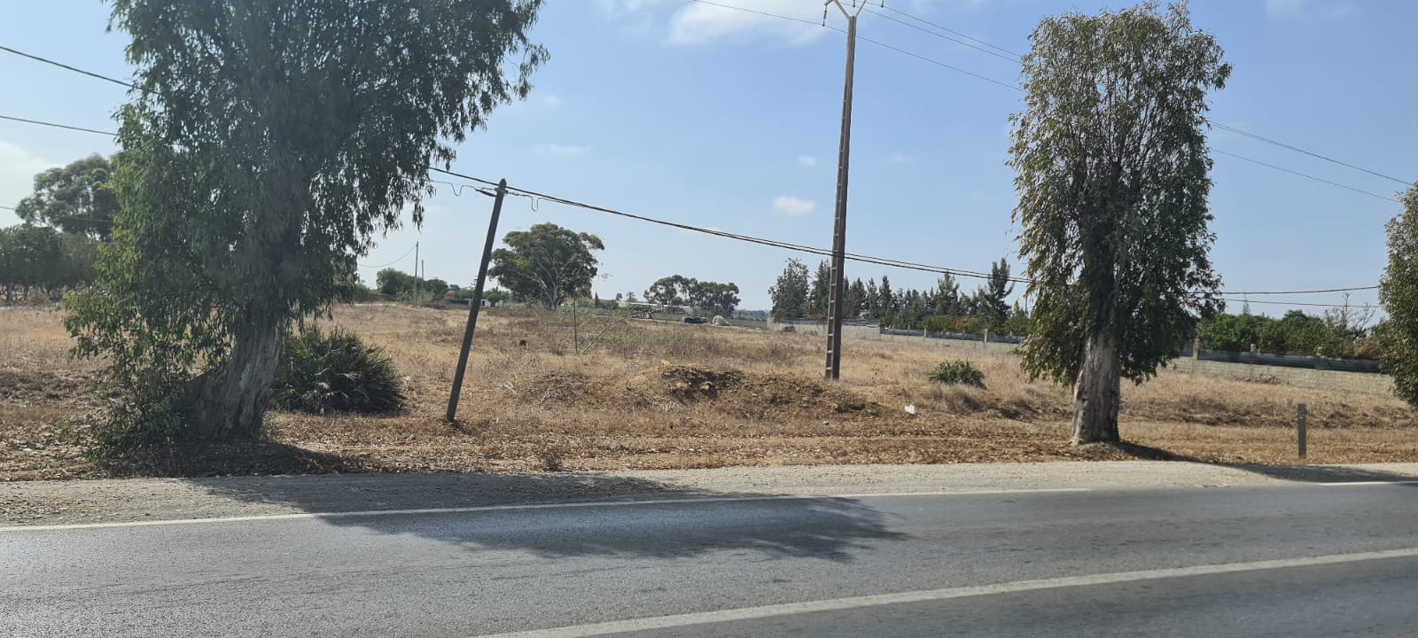 Terrain Agricole à vendre à Benslimane