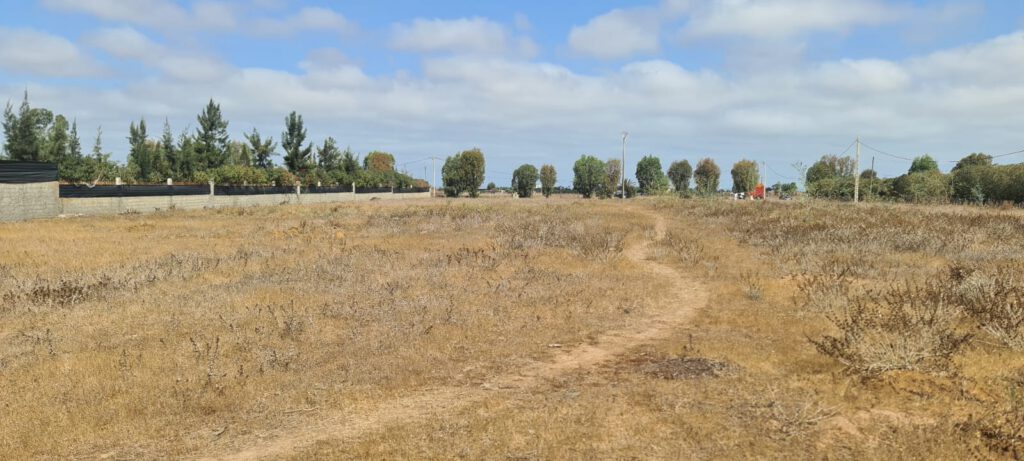 Terrain Agricole à vendre à Benslimane